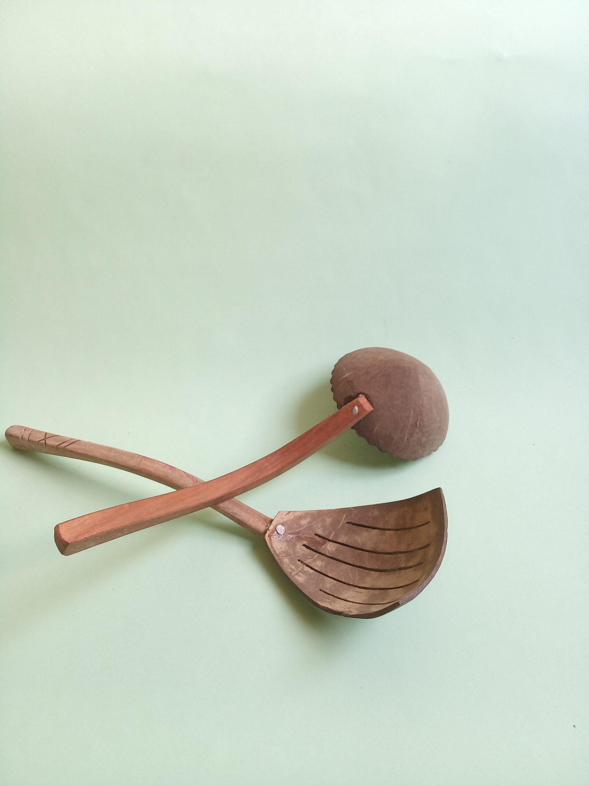 নারকেল মালার চামচ (chcc-002)