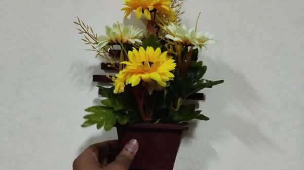 product_img