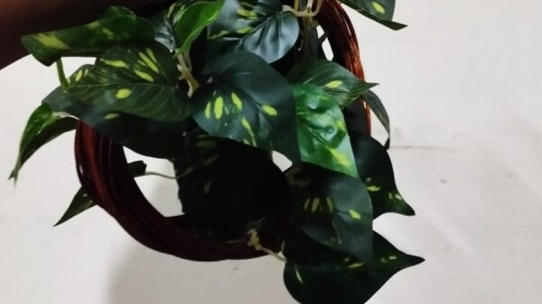 product_img