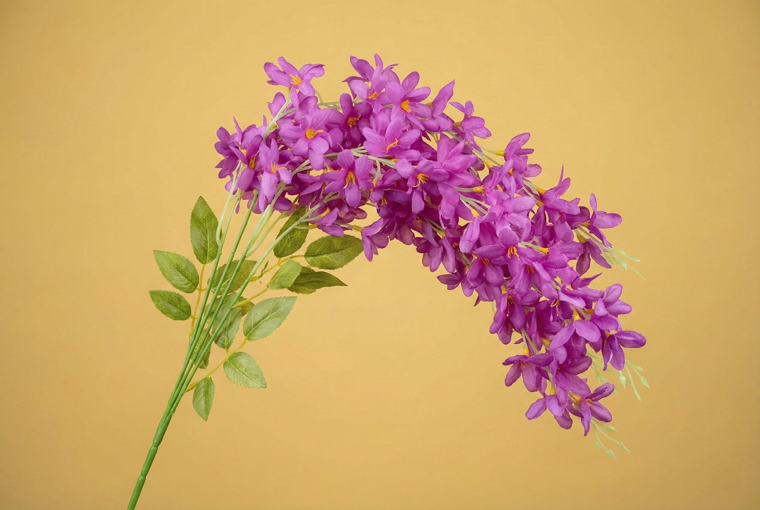 Cherry Flower Beguni