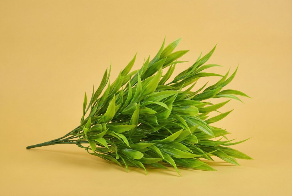 Grass Artificial