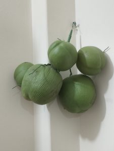 Artificial Coconuts
