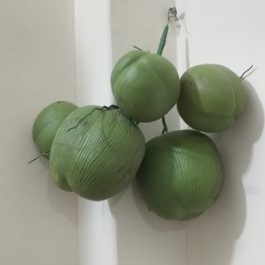 Artificial Coconuts