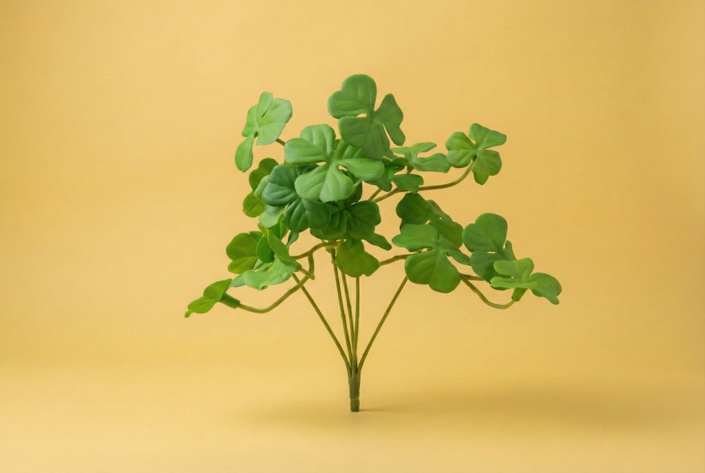 Money Plant