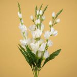 Rojonigondha white