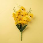 Rubber Flower Cherry