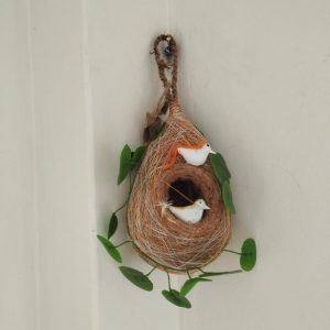 Babui Nest With Bird