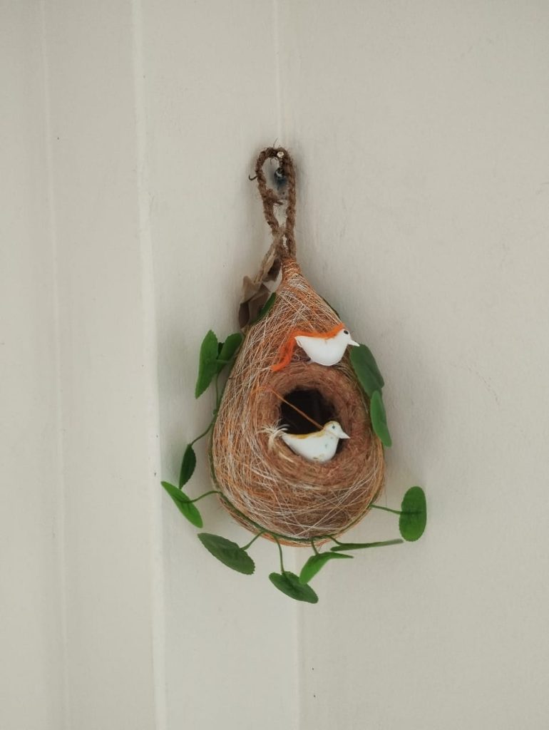 Babui Nest With Bird