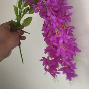 Cherry Flower Beguni