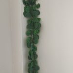 Artificial FLower (Dojon Lota)