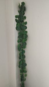 Artificial FLower (Dojon Lota)