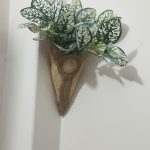 Flower With Vase