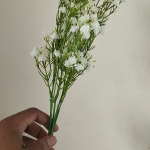Jipsi Flower