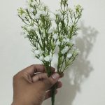 Flower With Vase