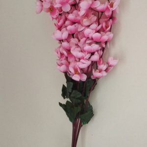 Flower Cherry Pink