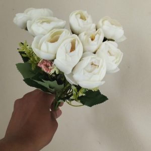 White Golap