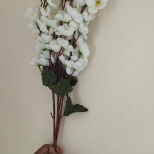 Flower Cherry White