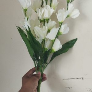 Rojonigondha white