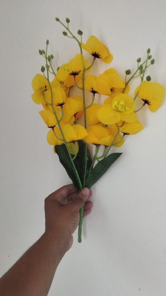 Rubber Flower Cherry