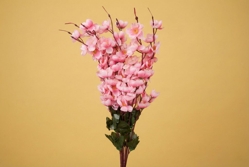 Flower Cherry Pink