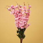 Flower Cherry Pink