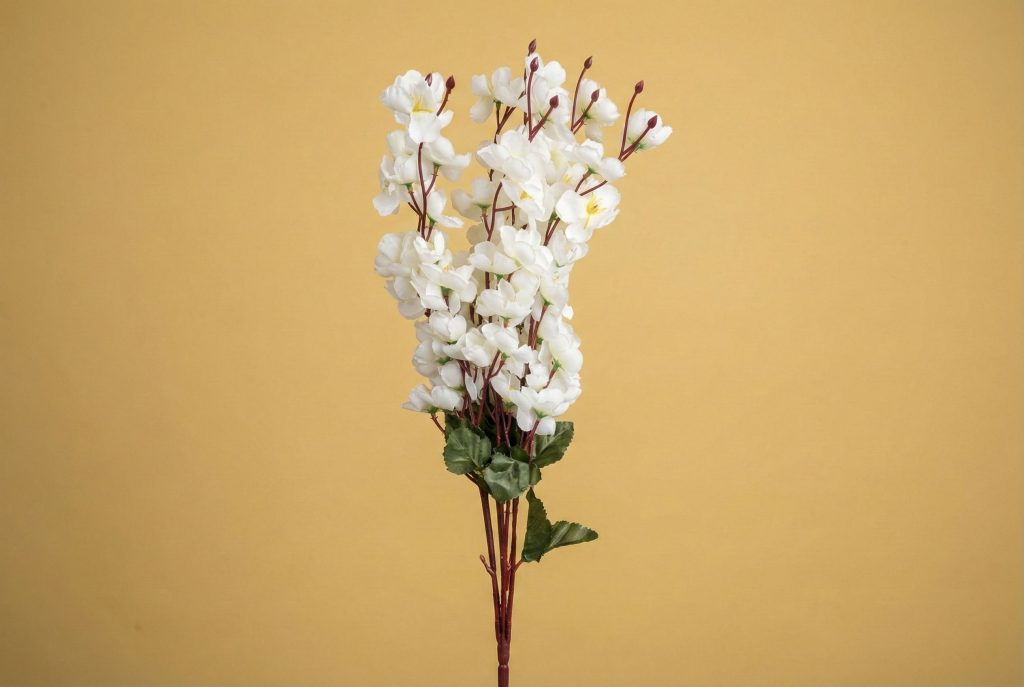 Flower Cherry White