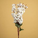 Flower Cherry White