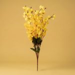 Flower Cherry Yellow