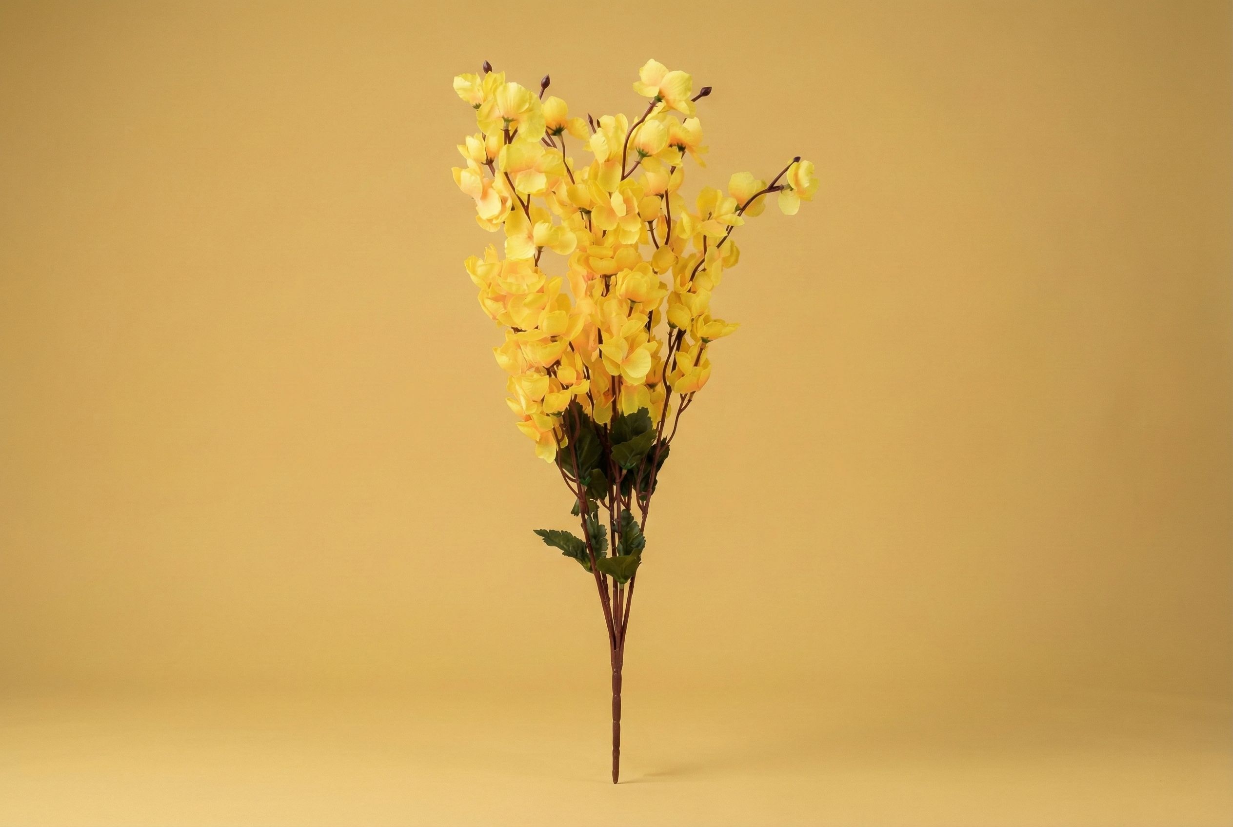 Flower Cherry Yellow